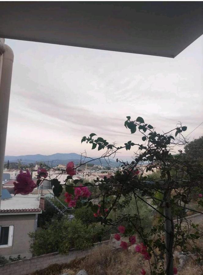 Όμορφο Και Ευρύχωρο Διαμέρισμα Με Θέα! Apartamento Nauplia Exterior foto